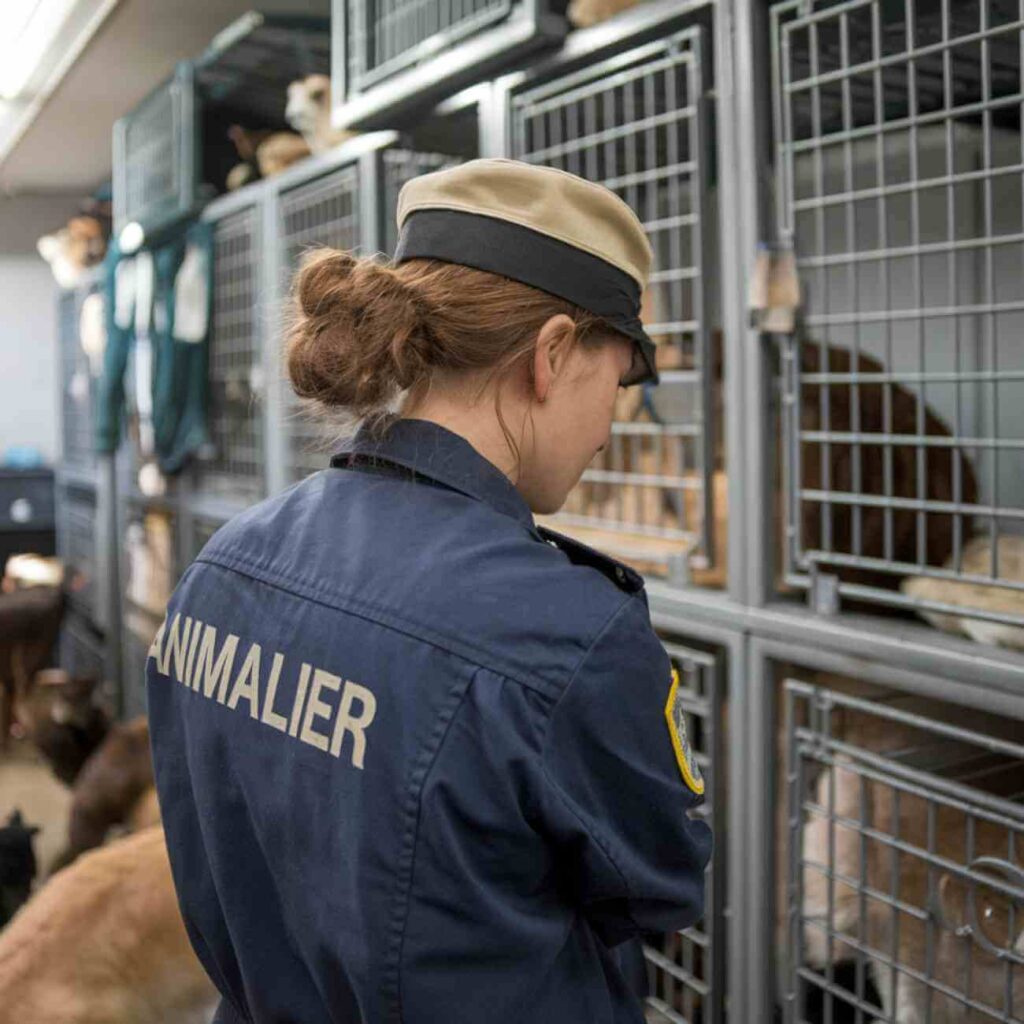 Agent animalier en refuge