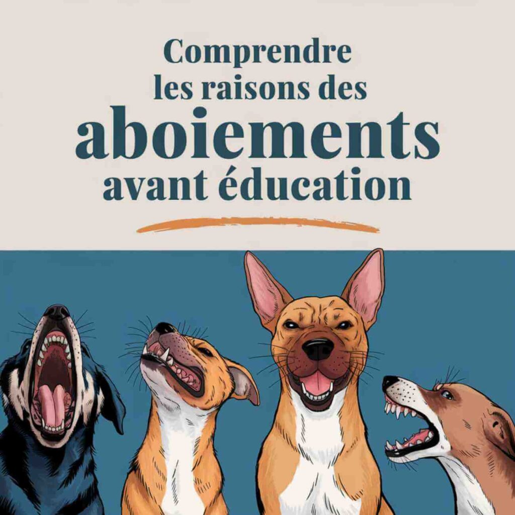 éducation aboiement chien