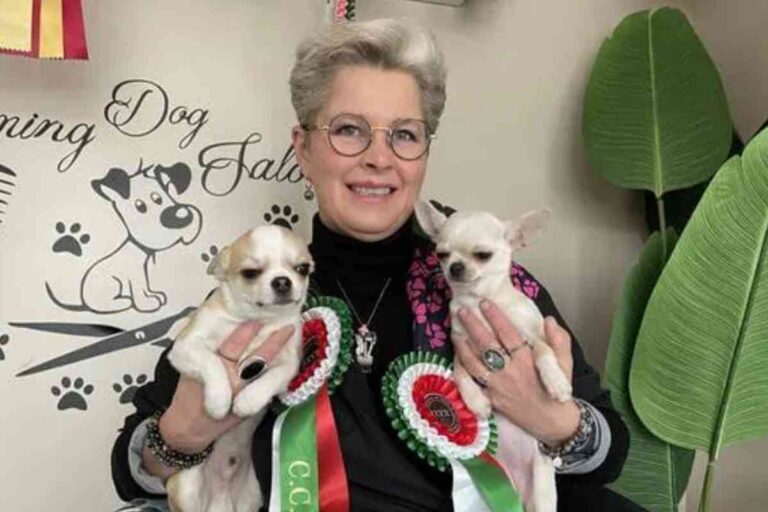 « On me donnait douze mois » : une toiletteuse normande vainc son cancer du côlon et relance son salon canin après une année de combat Gabrielle Vigneron, toiletteuse normande, souriante, tenant un chihuahua dans son salon de toilettage après sa victoire contre le cancer du côlon