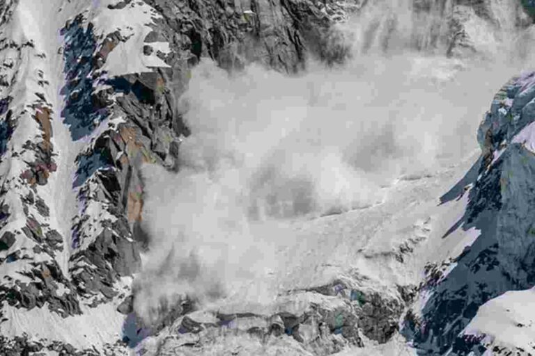 Avalanche en Norvège : il survit 7 heures enseveli sous 2 mètres de neige grâce à un chien héros – un miracle qui défie toutes les statistiques de survie en montagne Secouriste et chien de sauvetage fouillant dans une zone de montagne enneigée après une avalanche en Norvège