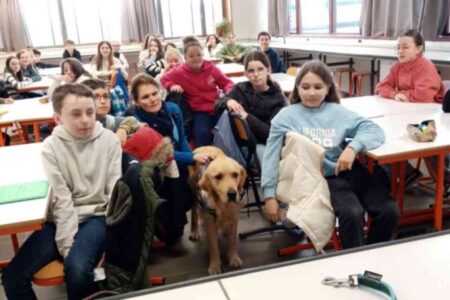 Chien héros entouré d'élèves dans une salle de classe d'un collège breton, mascotte ayant aidé des victimes lors d’un procès
