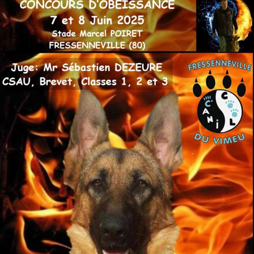 Affiche promotionnelle du concours d'obéissance canine à Plémet, Côtes-d'Armor, mettant en avant un Berger Allemand sur un fond dynamique avec des flammes et des informations sur l'événement.