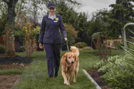 Faut-il investir dans un pet-sitter Voici les vrais avantages pour les maîtres pressés