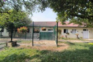 ALERTE : Le refuge de Reims craque ! Abandons en hausse, trafic d’animaux et appel à l’aide urgent ! Entrée du refuge « Les Amis des Bêtes du Grand Reims » entourée de verdure, avec des enclos visibles en arrière-plan.