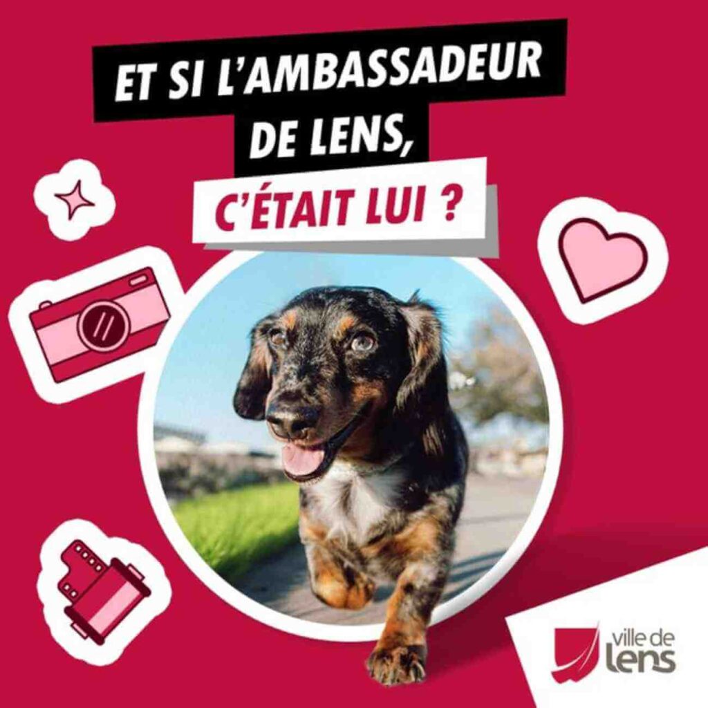 Affiche du concours photo de Lens avec un chien en vedette et le texte « Et si l’ambassadeur de Lens, c’était lui ? ». Illustration promotionnelle de l’événement.