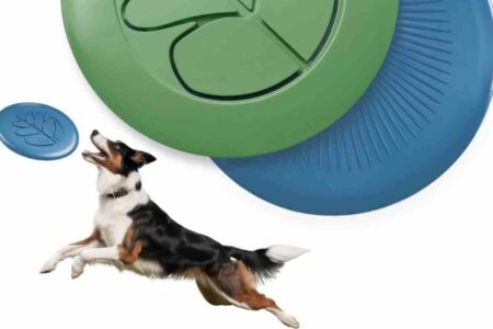 Top 10 des jouets pour chien destructeur testés et approuvés !