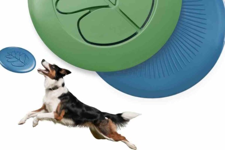 Top 10 des jouets pour chien destructeur testés et approuvés !