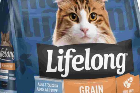 les services de livraison de croquettes pour ne jamais manquer de stock