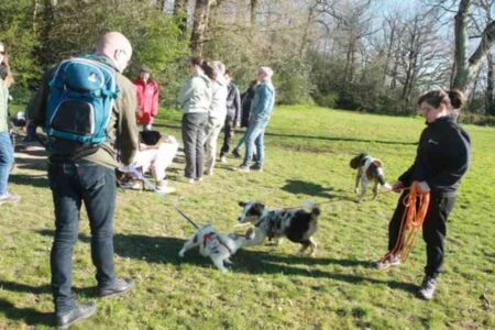 Des maîtres et leurs chiens réunis dans un espace vert à Saint-Léger-sous-Cholet lors d’un rendez-vous quotidien organisé par l’association Amicanine.