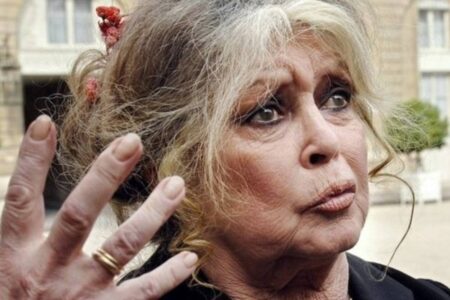 Brigitte bardot non fifa maroc