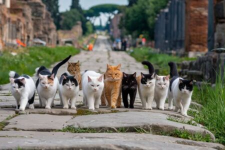 Comment les chats ont conquis l'Europe ce que l'Histoire révèle enfin