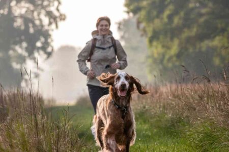 Courir à deux : ces chiens qui vous motivent plus qu’un coach