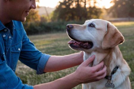Homme assis dans un parc en train de câliner tendrement son chien, image illustrant le lien affectif fort entre humains et animaux de compagnie face à la solitude sociale.