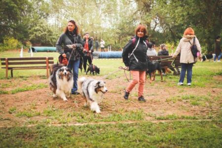 Des visiteurs et leurs chiens participant à une activité au Dog’stival, profitant des animations et des ateliers dédiés à l'éducation canine et au bien-être des animaux