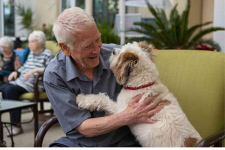 Résident senior avec son chien, montrant l'impact positif des animaux de compagnie dans les résidences seniors