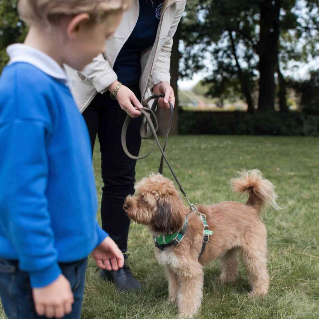 Un enfant observant calmement un petit chien tenu en laisse dans un parc, lors d’un atelier éducatif sur les bons comportements à adopter avec les chiens