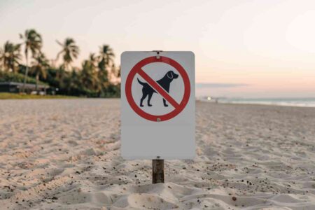 Panneau signalant l’interdiction des chiens sur une plage vide