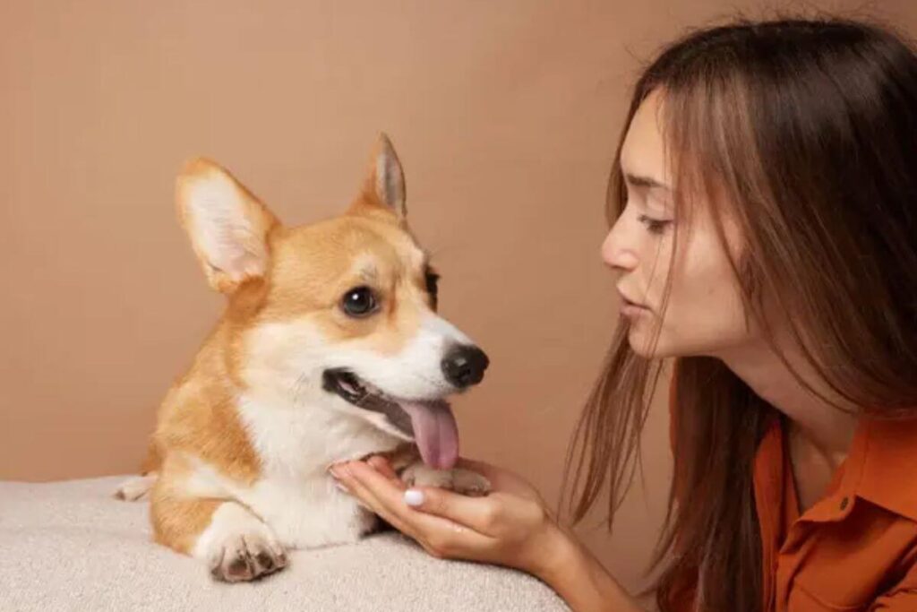 Quand les léchouilles deviennent un problème : ce que vous devez savoir pour votre chien