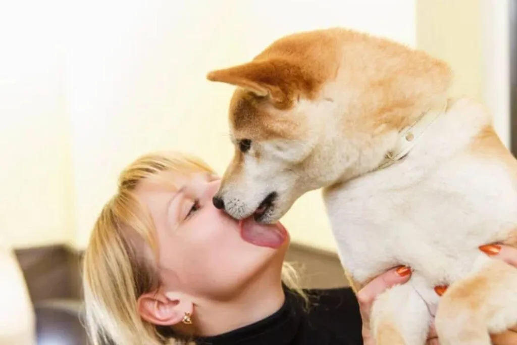 Quand les léchouilles deviennent un problème : ce que vous devez savoir pour votre chien
