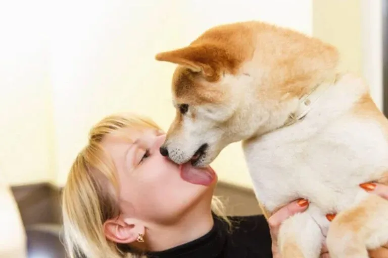 Quand les léchouilles deviennent un problème : ce que vous devez savoir pour votre chien