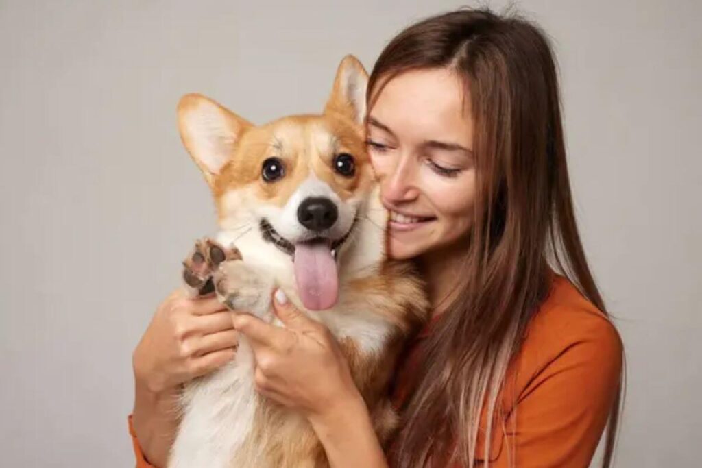 Quand les léchouilles deviennent un problème : ce que vous devez savoir pour votre chien