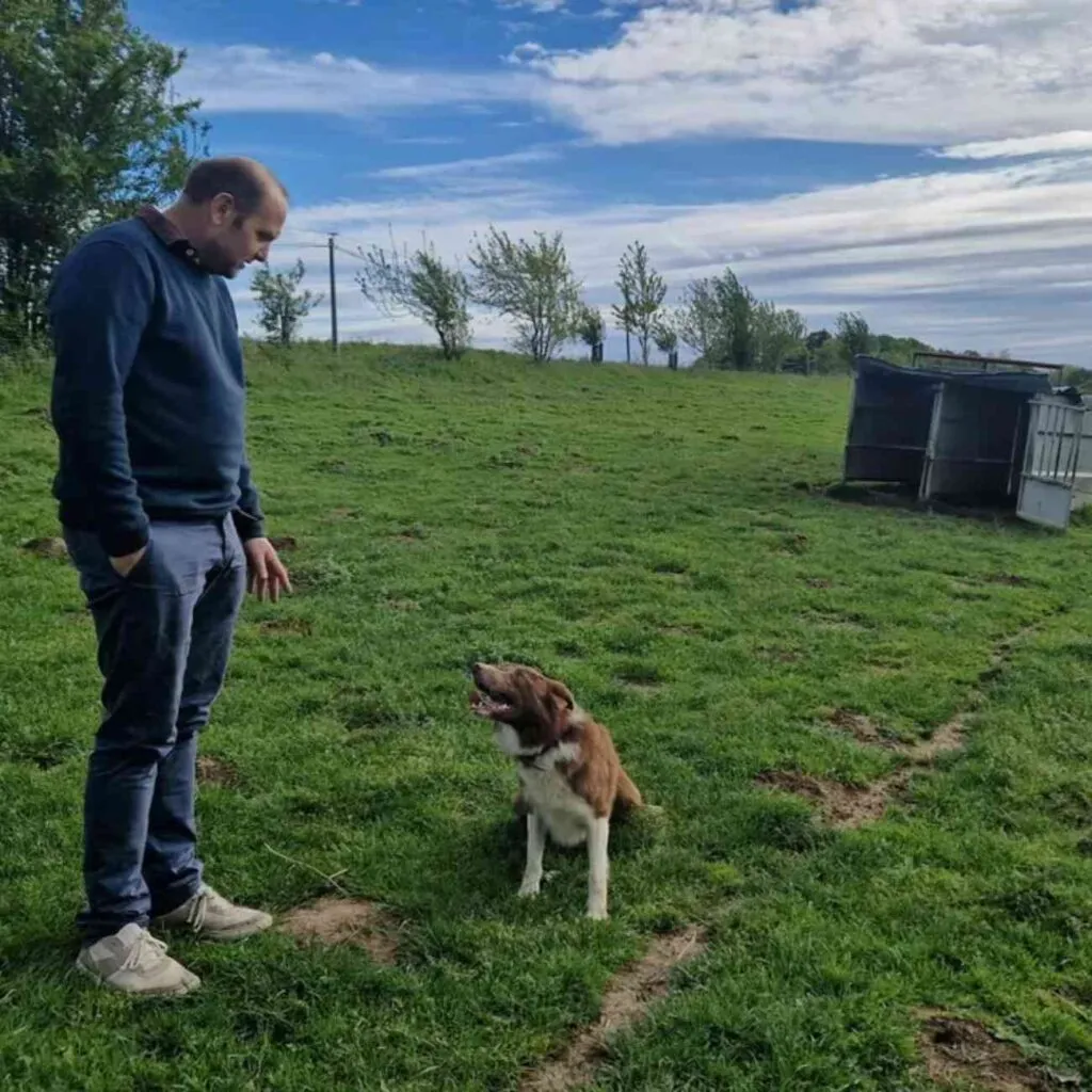 Éleveur Jean-Baptiste Ferrand face à son chien Sico assis dans un champ verdoyant à Castétis, Béarn