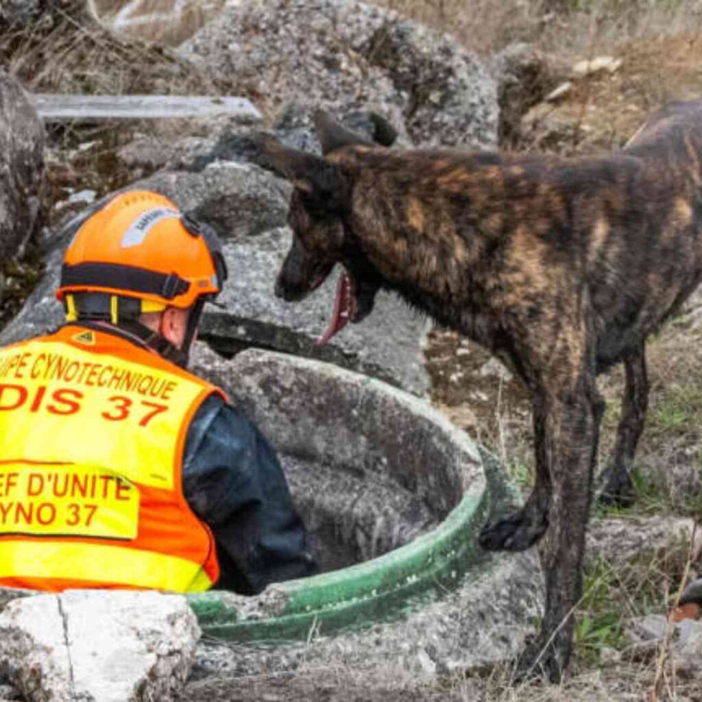 Pompiers du SDIS 37 avec leur chien cynophile, en action pour localiser une personne disparue dans un terrain accidenté.