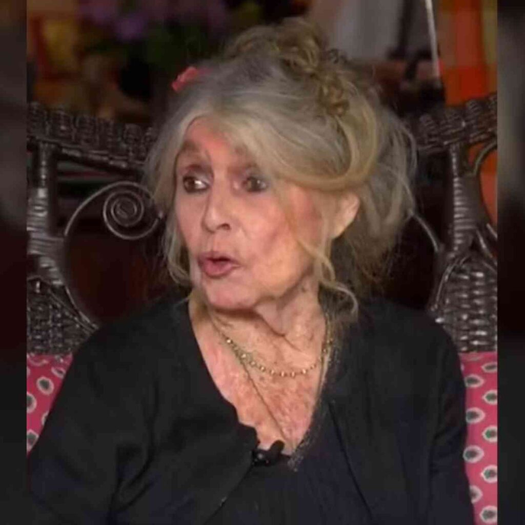 Brigitte Bardot lors de son interview avec BFMTV sur l’interdiction de la chasse à courre