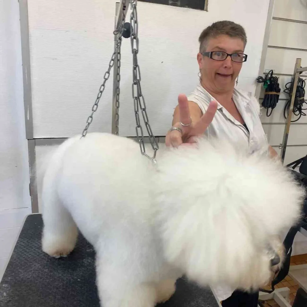 Charlotte Castiaux souriante faisant un signe de victoire derrière un chien toiletté sur une table de toilettage