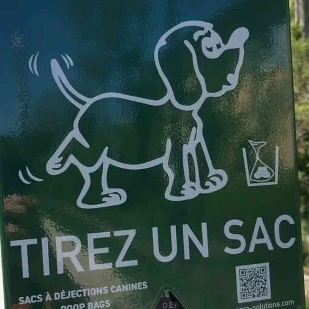 Illustration de chien sur un panneau vert indiquant “Tirez un sac” pour les déjections canines