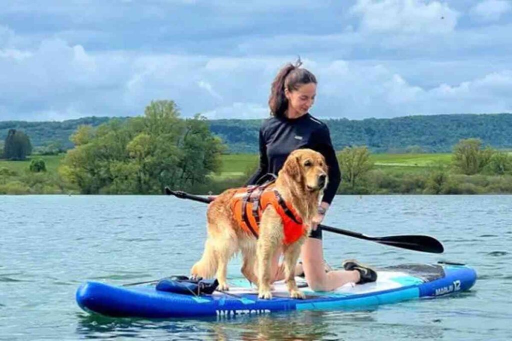 Femme sur un paddle avec un chien en gilet de sauvetage, illustration d’une activité prévue au Festi’Dog 2025.