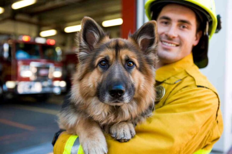 Pompier souriant tenant un chien de type berger dans ses bras après une mission de sauvetage.