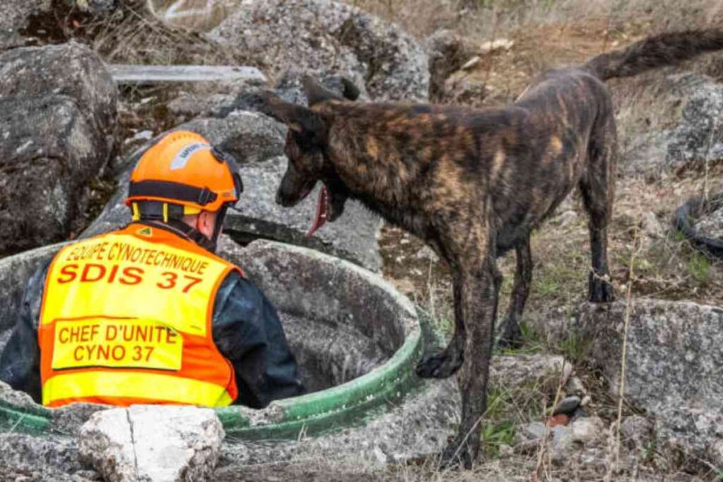 Pompiers du SDIS 37 avec leur chien cynophile, en action pour localiser une personne disparue dans un terrain accidenté.