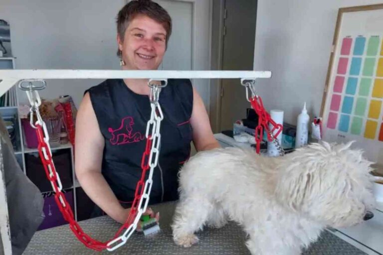 Charlotte Castiaux en train de toiletter un chien blanc dans son salon de toilettage à domicile