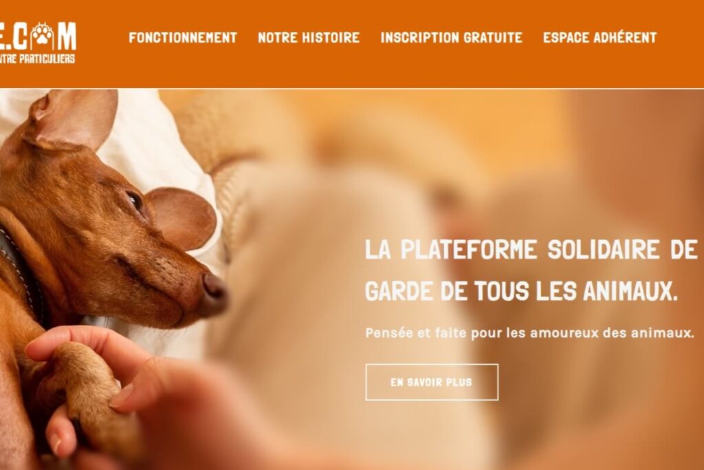 Interview exclusive : Salim, fondateur de Pabete, face à la réalité de la garde animale