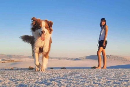 Chienne berger australien marchant sur le sable blanc avec sa maîtresse Élodie dans le désert du White Sands, sous un ciel bleu dégagé