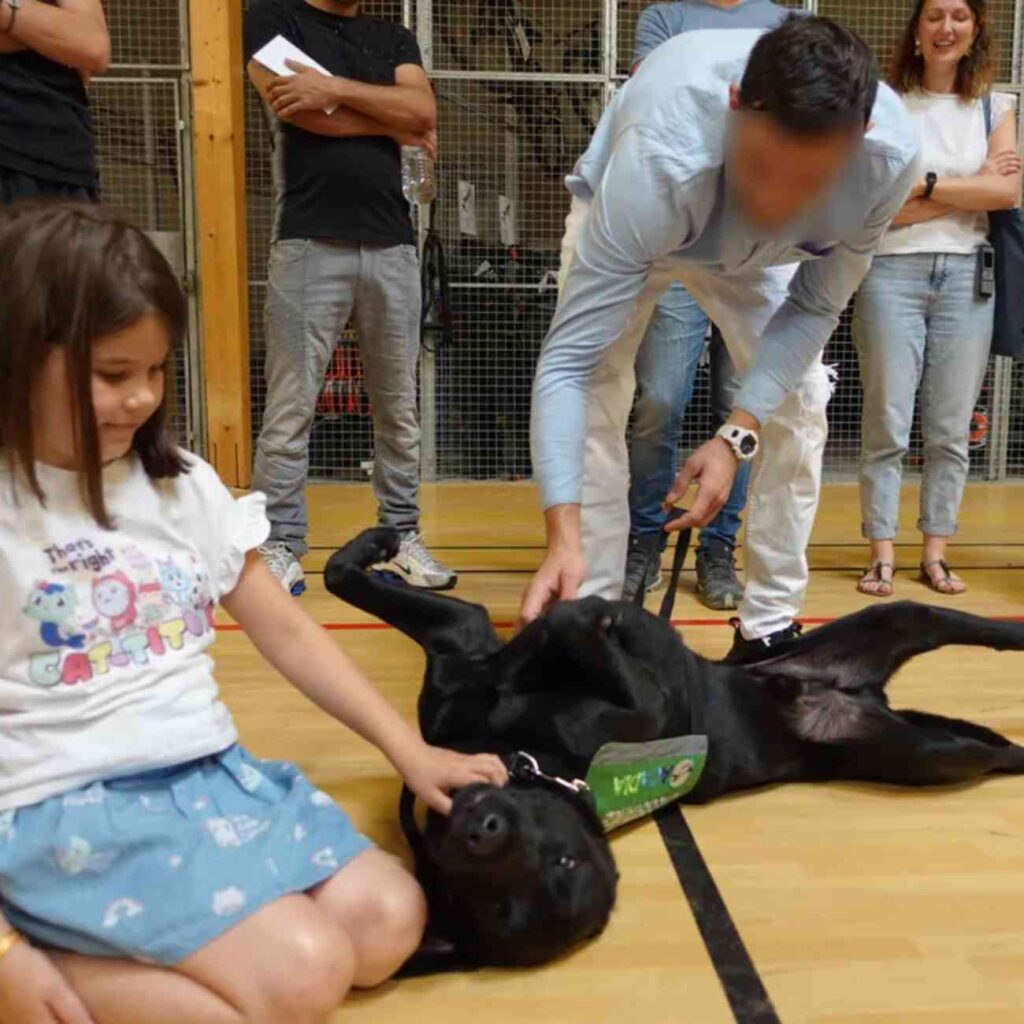 Une jeune fille caresse un chien d’assistance allongé sur le dos dans un gymnase, entourée d’un éducateur et d’adultes en arrière-plan.