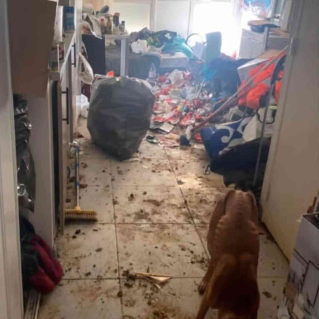 Chien extrêmement maigre dans un couloir jonché de détritus, à l’intérieur d’un appartement en état de désordre extrême à La Ciotat.