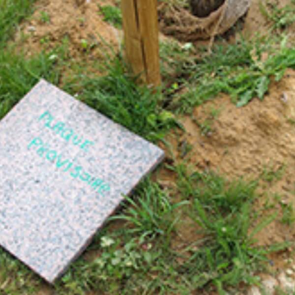 Plaque funéraire en surface sur une tombe du cimetière animalier de Marly