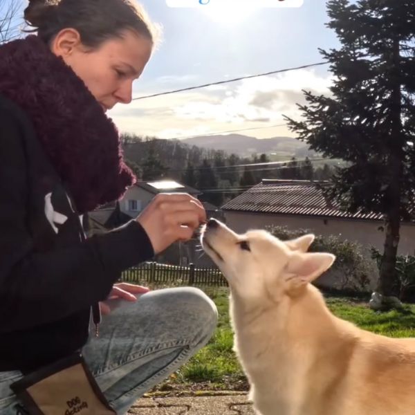 Jennifer Barbier comportementaliste et éducatrice de chien à Saint Symphorien sur Coise en séance d'exercices