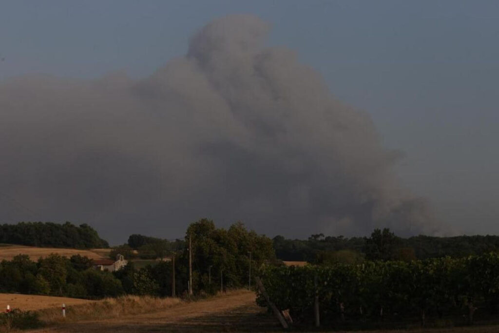 Fumée sombre montant dans le ciel au-dessus des forêts de Charente après un incendie ayant détruit 230 hectares et provoqué l’évacuation de familles et de leurs animaux.