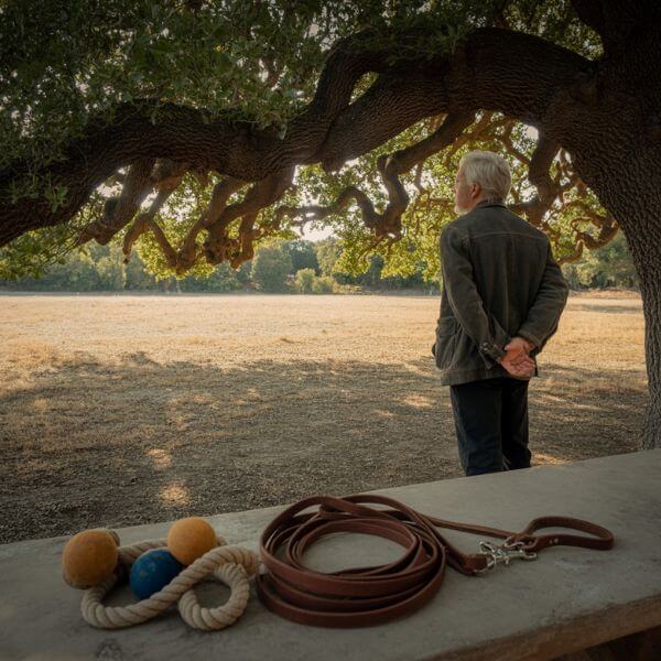 Éducateur canin debout à l’ombre d’un arbre, regardant un terrain vide, avec du matériel posé au sol.