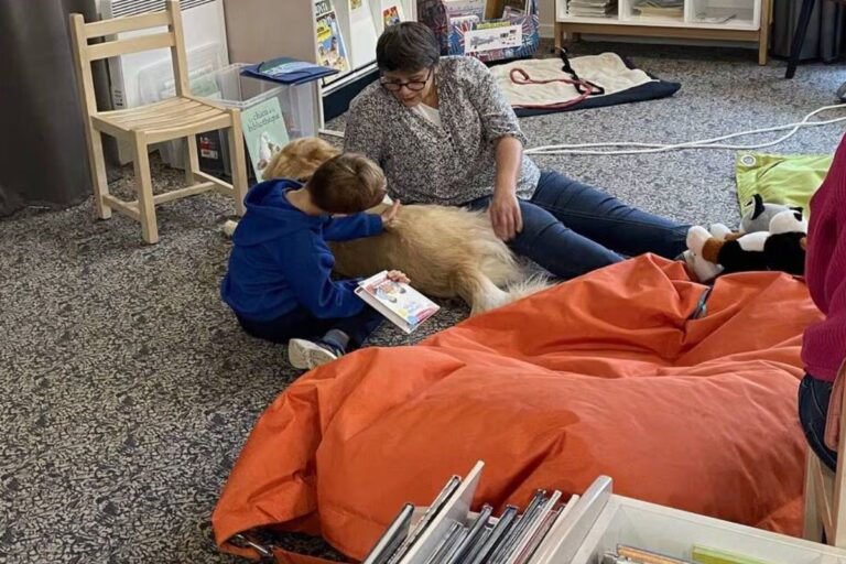 Nelson, le chien médiateur, assis auprès des enfants pendant une séance de lecture à Bellevigne-en-Layon