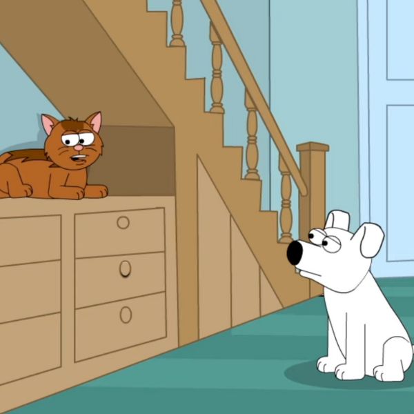 rex et minou 12 la peur muselante