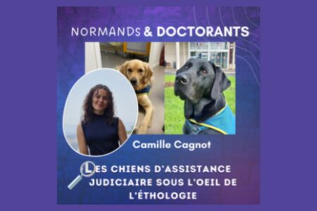 Affiche du podcast « Normands & Doctorants » présentant Camille Cagnot, doctorante en psychologie et éthologie animale à l’Université de Caen Normandie, aux côtés d’un chien d’assistance judiciaire. Le visuel violet annonce la conférence « Chiens d’assistance judiciaire : émotions et bien-être animal sous l’œil de l’éthologie ».