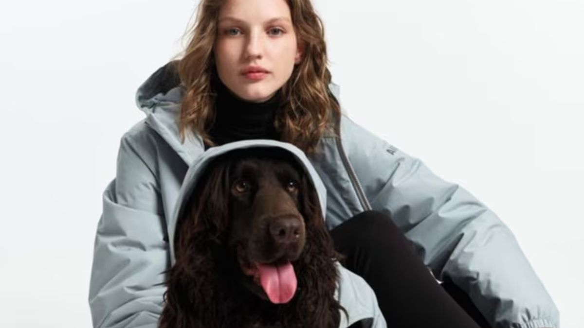 Etre habille comme son chien quand la mode se met a lecoute du vivant