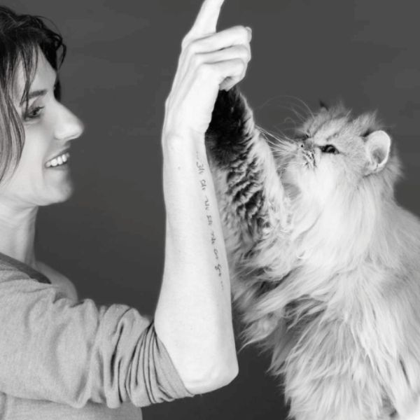 Une femme souriante joue avec un chat à long poil qui lève sa patte vers sa main.