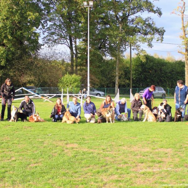 Un groupe d’enfants et de chiens rassemblés sur un terrain herbeux à Saint-Doulchard, lors d’une animation canine organisée par le club local.