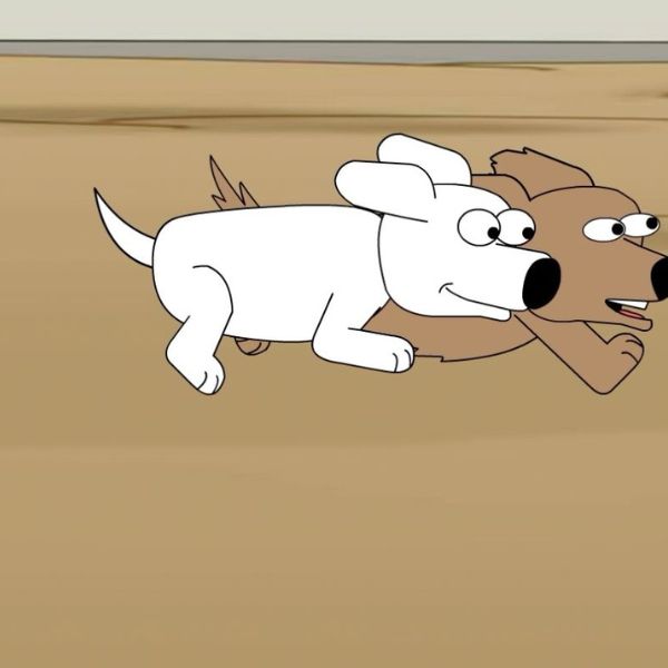Deux chiens de dessin animé, l’un blanc et l’autre marron, courent côte à côte avec enthousiasme.