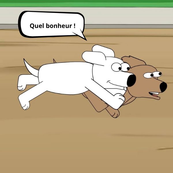 Rex Minou 14 parc des differences un chien peut ilmourir sans course